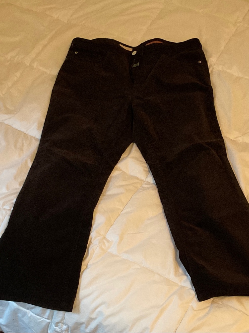 Pilcro women’s Corduroy Pants in Dark Brown